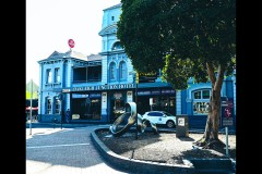 Oakleigh Walk (Sony Varma ©)