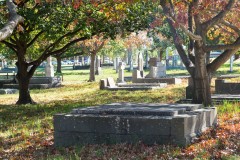 Oakleigh Walk (David Dyett ©)