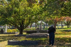Oakleigh Walk (Jim Weatherill ©)