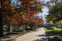 Oakleigh Walk (Robert Fairweather ©)