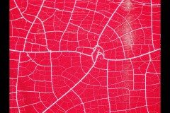 Oakleigh Walk (Marg Huxtable ©)