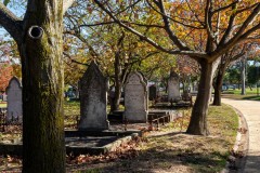 Oakleigh Walk (Jim Weatherill ©)