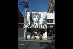 Oakleigh Walk (Bob Clothier ©)