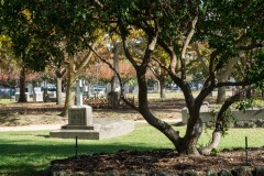 Oakleigh Walk (David Dyett ©)