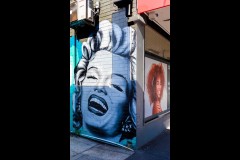 Oakleigh Walk (Jim Weatherill ©)