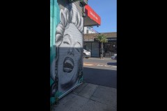 Oakleigh Walk (Bob Clothier ©)