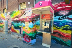 Oakleigh Walk (Sony Varma ©)