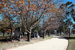 Oakleigh Walk (Sony Varma ©)