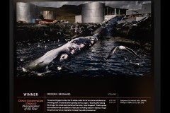 Ocean Exhibition, Williamstown (Peter Stuchbery)