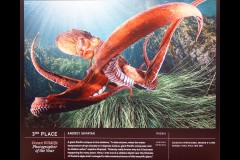 Ocean Exhibition, Williamstown (Peter Stuchbery)