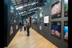 Ocean Exhibition, Williamstown (Jim Weatherill ©)