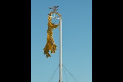 Ocean Exhibition, Williamstown (Jim O'Donnell ©)