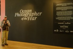 Ocean Exhibition, Williamstown (Bob Clothier ©)