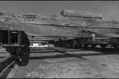 Ocean Exhibition, Williamstown (David Davidson ©)