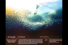 Ocean Exhibition, Williamstown (Peter Stuchbery)