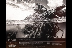 Ocean Exhibition, Williamstown (Peter Stuchbery)