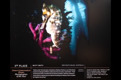 Ocean Exhibition, Williamstown (Peter Stuchbery)