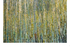 CAN'T SEE THE FOREST FOR THE TREES - Ralph Domino (Commended - Open B Grade - Oct 2019 PDI)