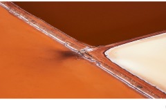 Pilbara Angles - Jane Barnes (Best - Open A Grade - Oct 2019 PDI)