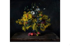 Flower Study - Jane Clancy (Commended - Open A Grade - Oct 2019 PDI)