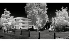 Monash Town Hall - Ian Bock (Commended - Set Subject - Oct 2019 PDI)