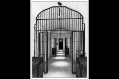 Pentridge Outing (Carolyn Brandt ©)