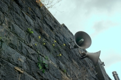 Pentridge Outing (Lisa Xu ©)