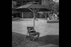 Photo 2024 Biennial (Ken Gosbell ©)