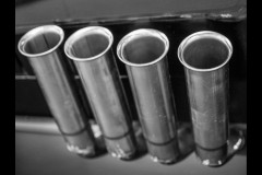 Photo 2024 Biennial (Ken Gosbell ©)