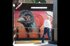 Photo 2024 Biennial (Joe Hajdu ©)