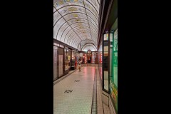 Photo 2024 Biennial (David Davidson ©)