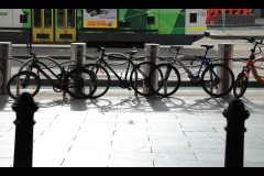 Photo 2024 Biennial (Terry Noske ©)