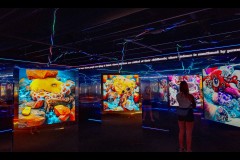 Photo 2024 Biennial (David Davidson ©)