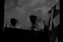 Photo 2024 Biennial (Paul Palcsek ©)