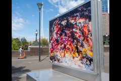 Photo 2024 Biennial (Jim Weatherill ©)