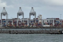 Princes & Station Piers, Port Melbourne - 3 June 2025 (Mid-Week Group)
