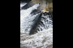Princes & Station Piers, Port Melbourne (Terry Noske ©)