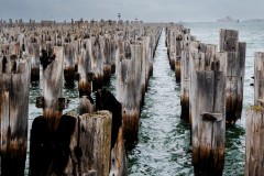 Princes & Station Piers, Port Melbourne (Peter Stuchbery ©)