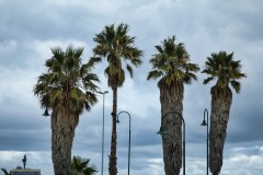 Princes & Station Piers, Port Melbourne (Terry Noske ©)