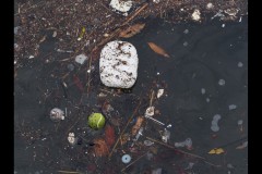 Princes & Station Piers, Port Melbourne (Paul Palcsek ©)
