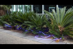 Princes & Station Piers, Port Melbourne (Mike Lewis ©)