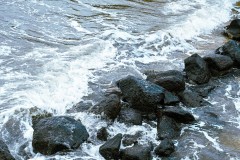 Princes & Station Piers, Port Melbourne (Sony Varma ©)