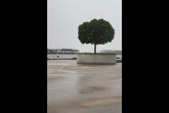 Princes & Station Piers, Port Melbourne (Paul Palcsek ©)