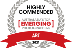 13163-CPH-ATEP-Art-Highly-Commended