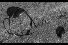 Richmond Hill Walk (David Davidson ©)