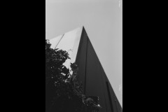 Richmond Hill Walk (Lilith Ball ©)