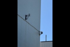 Richmond Hill Walk (Sue Rocco ©)