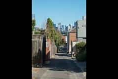 Richmond Hill Walk (David Dyett ©)