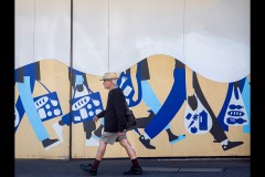 Richmond Hill Walk (Marg Huxtable ©)