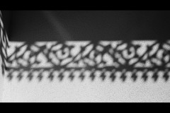 Richmond Hill Walk (Bob Clothier ©)